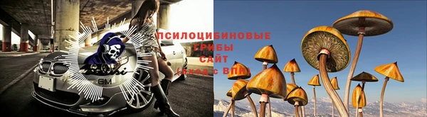 кокс Каменка