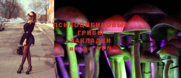 кокс Каменка