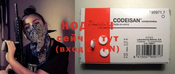кокс Каменка