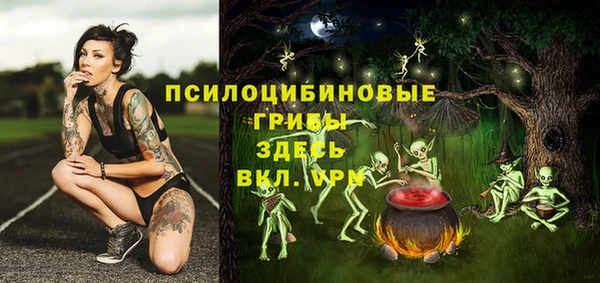 таблы Инта