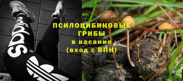 кокс Каменка
