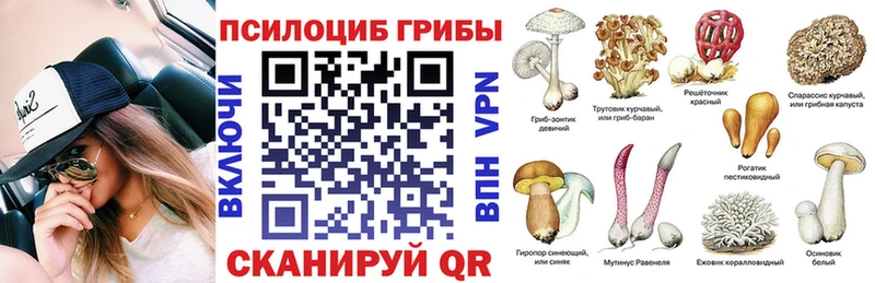 KRAKEN tor магазин продажи наркотиков Кашира Псилоцибиновые грибы Psilocybe