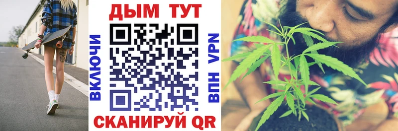 где купить наркоту  Кашира  Каннабис SATIVA & INDICA 